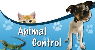 Animal Control - Town of Winterville, NC